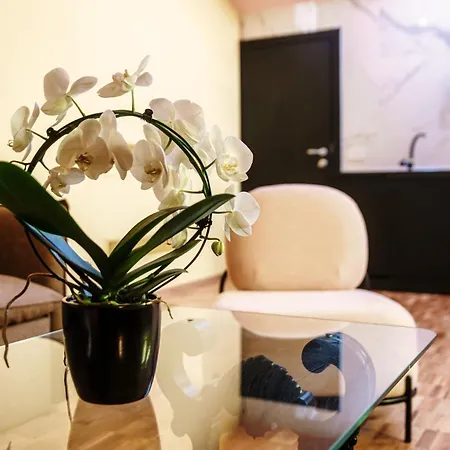 Vitrum - Luxury 4* Όπως