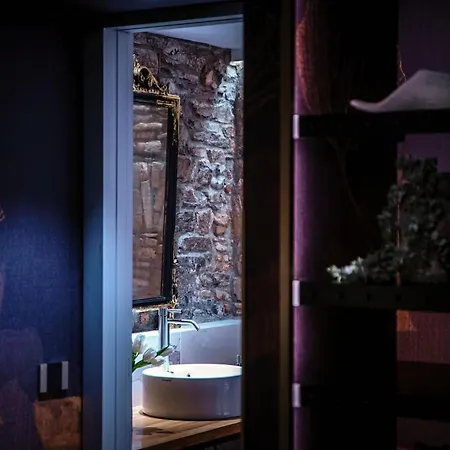 Vitrum - Luxury Gasthuis