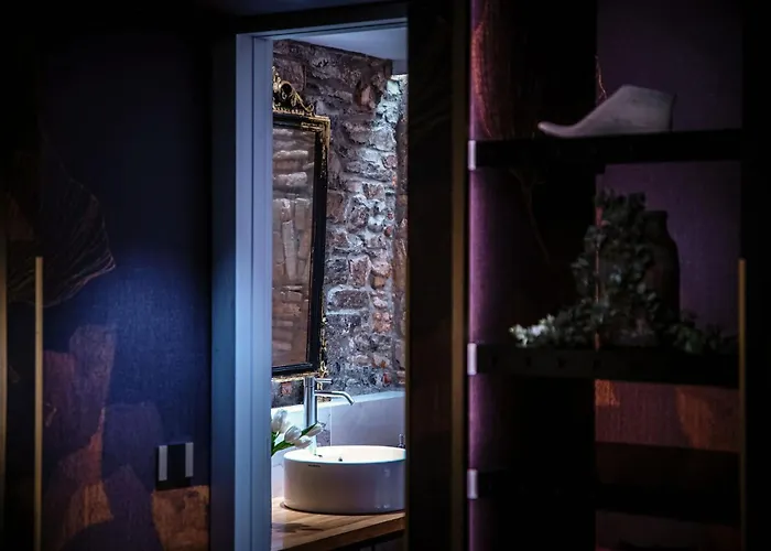 Vitrum - Luxury Gasthuis